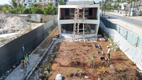 Landscaping & External Areas in Progres